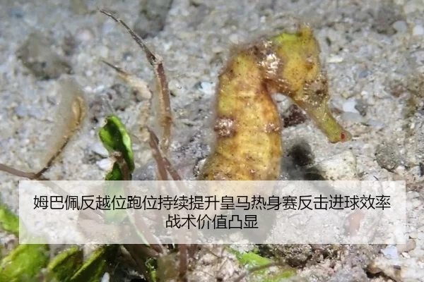 姆巴佩反越位跑位持续提升皇马热身赛反击进球效率战术价值凸显