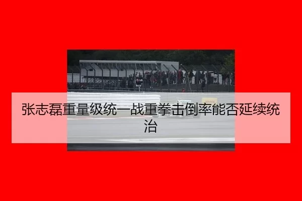 zhang-zhi-lei-zhong-liang-ji-tong-yi-zhan-zhong-quan-ji-dao-lv-neng-fou-yan-xu-tong-zhi-3-963.jpg