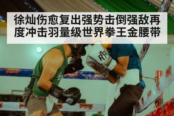 徐灿伤愈复出强势击倒强敌再度冲击羽量级世界拳王金腰带